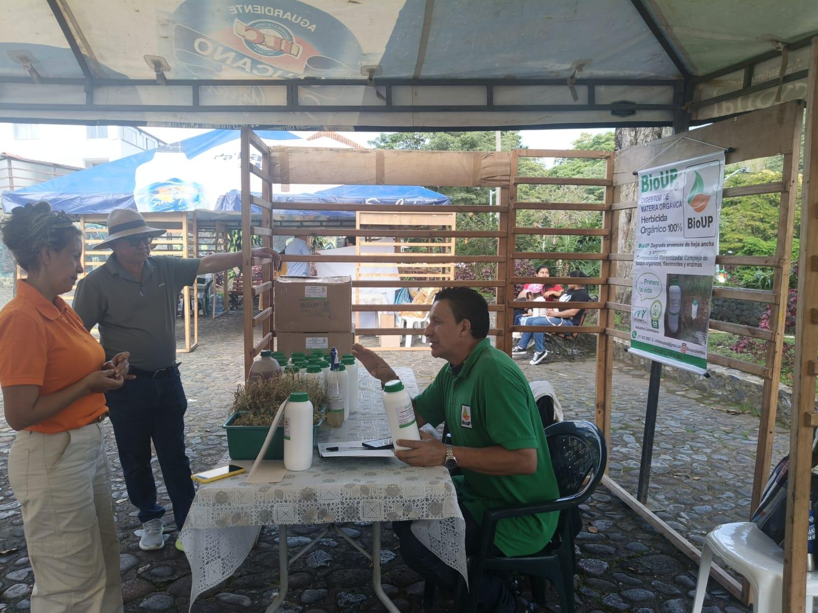 Detalle del eje temático